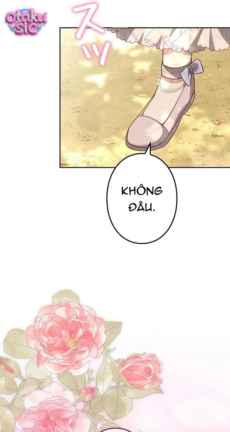 Một Ngày Nọ, Nam Chính Rơi Xuống Nhà Tôi Chap 14 - Next Chap 15