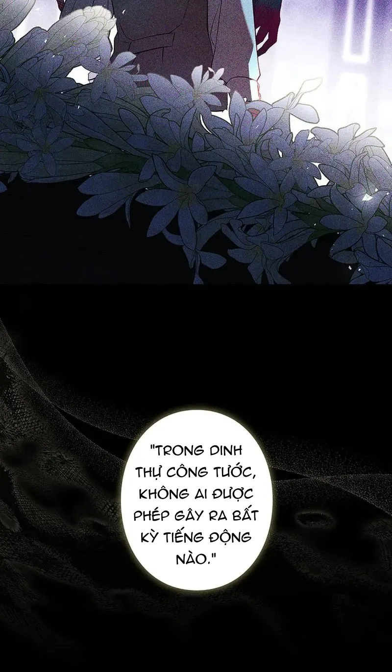 Một Ngày Nọ, Nam Chính Rơi Xuống Nhà Tôi Chap 2 - Next Chap 3