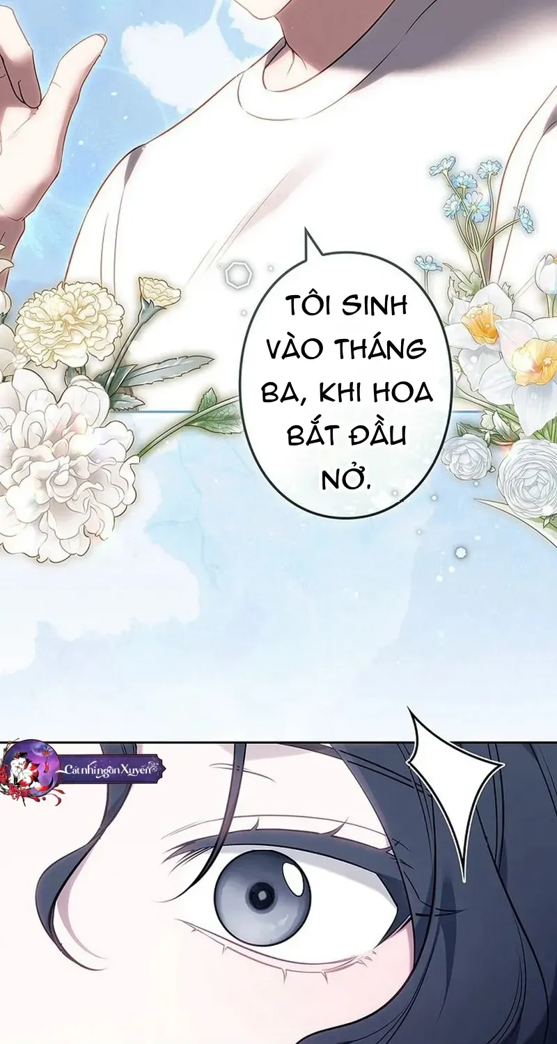 Một Ngày Nọ, Nam Chính Rơi Xuống Nhà Tôi Chap 2 - Next Chap 3