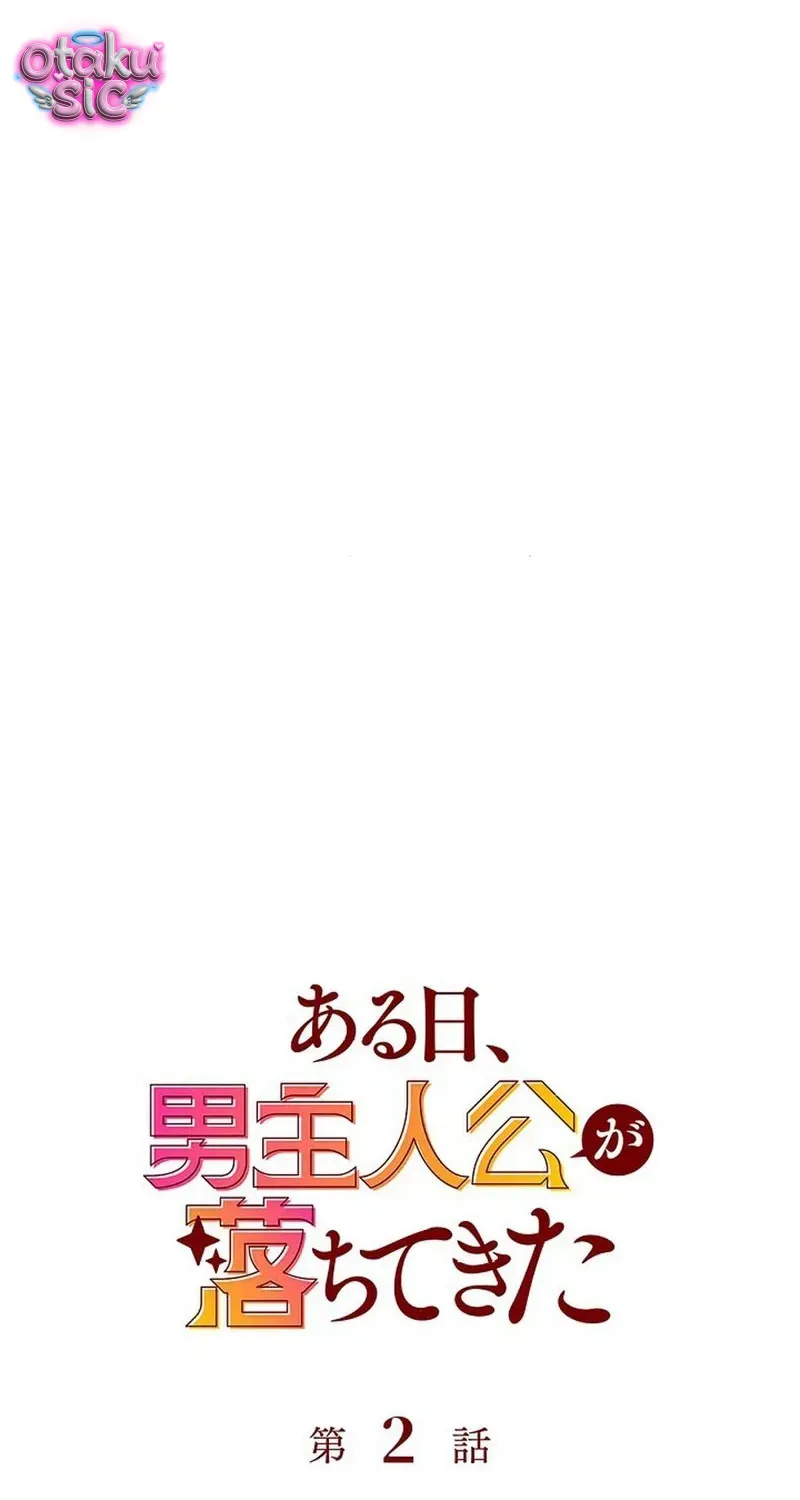 Một Ngày Nọ, Nam Chính Rơi Xuống Nhà Tôi Chap 2 - Next Chap 3