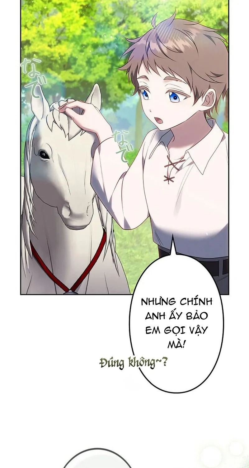 Một Ngày Nọ, Nam Chính Rơi Xuống Nhà Tôi Chap 20 - Next Chap 21