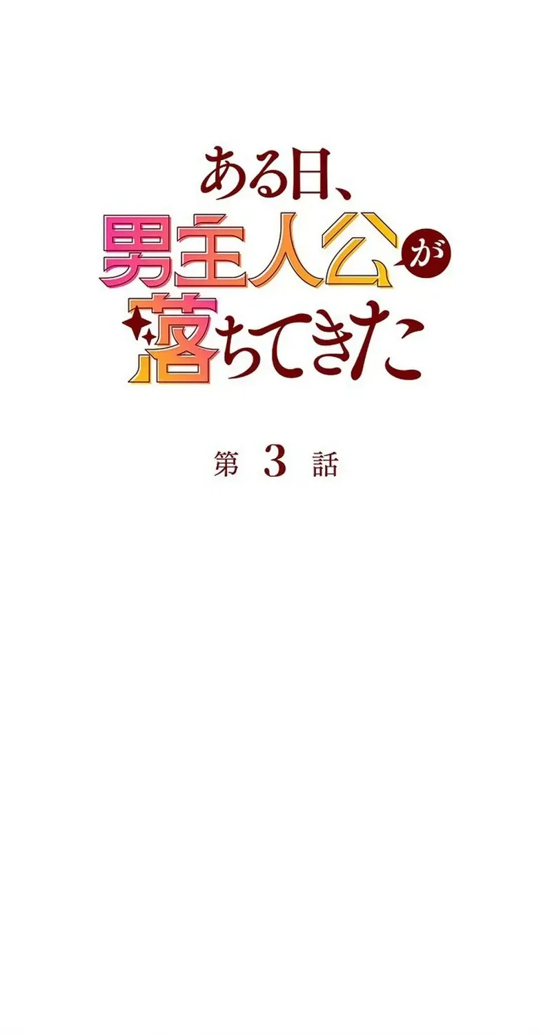 Một Ngày Nọ, Nam Chính Rơi Xuống Nhà Tôi Chap 3 - Next Chap 4