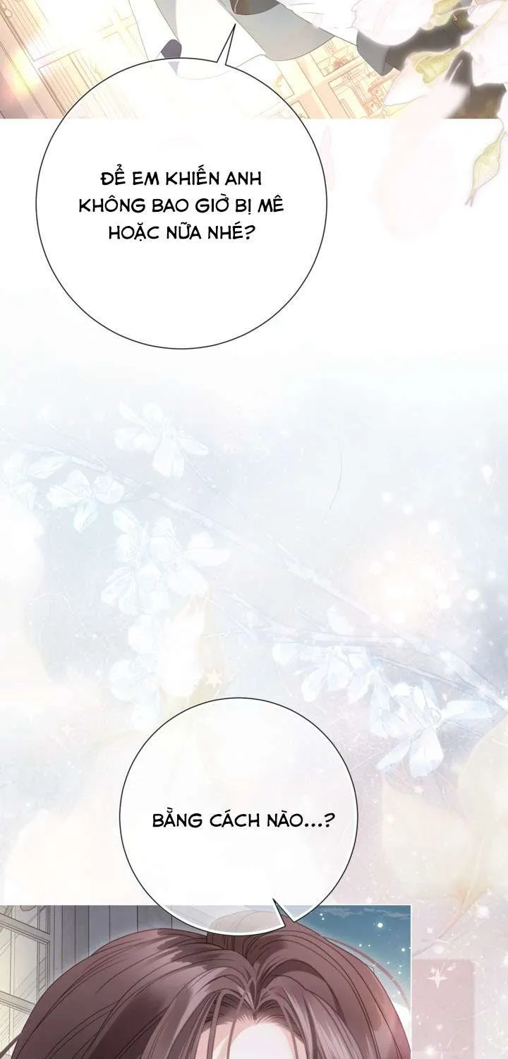 Một Thế Giới Không Có Chị Gái Mà Ai Cũng Yêu Chap 106 - Next Chap 107