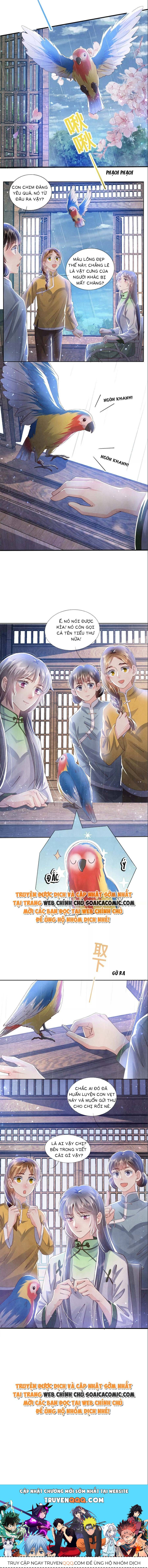 Mùa 2-Tôi Có Ông Chồng Hay Ghen Chap 65 - Next Chap 66