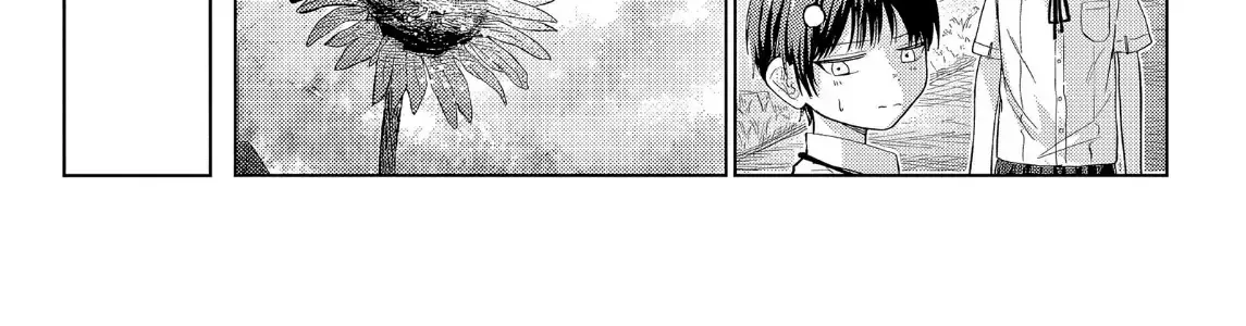 Mùa Hạ Có Bức Hình Của Cậu Chap 0 - Next Chap 1