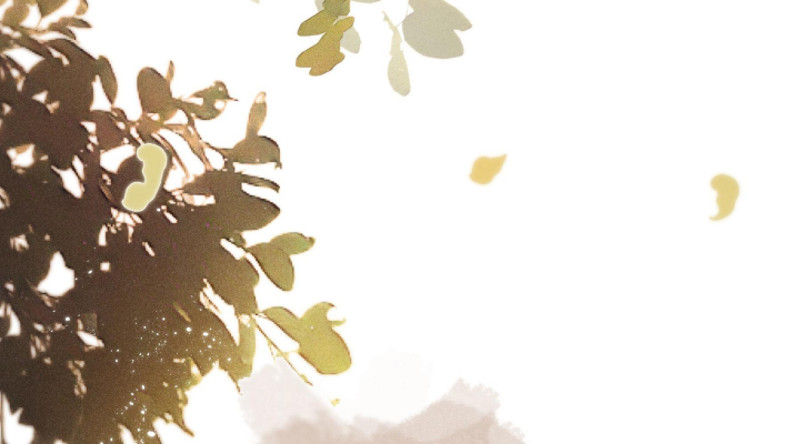 Mục Tinh Ký Chap 1 - Next Chap 2