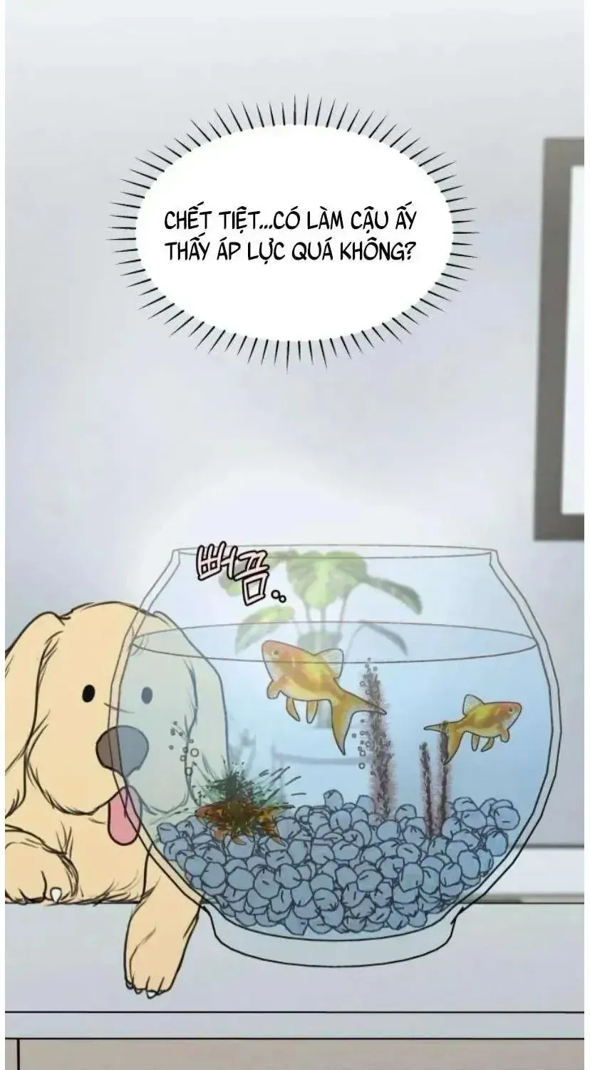 Muốn Bị Lừa Dối Chap 38 - Next Chap 39