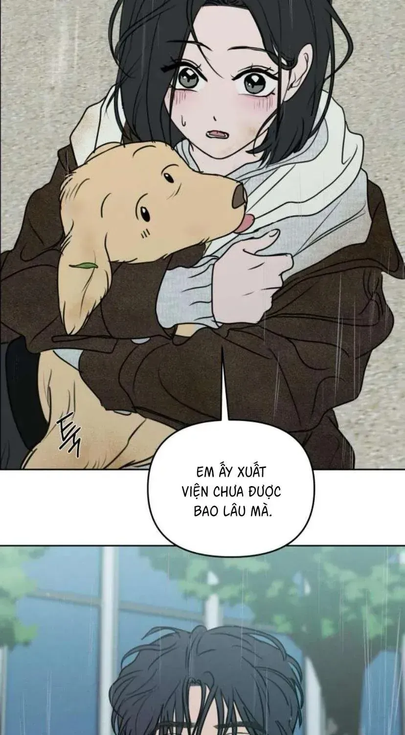 Muốn Bị Lừa Dối Chap 41 - Next Chap 42