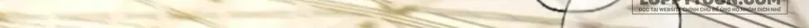 Muốn Mượn Chút Lửa Không? Chap 91 - Next Chap 92