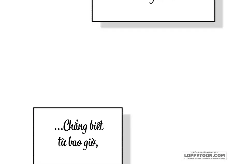 Muốn Mượn Chút Lửa Không? Chap 95 - Next Chap 96