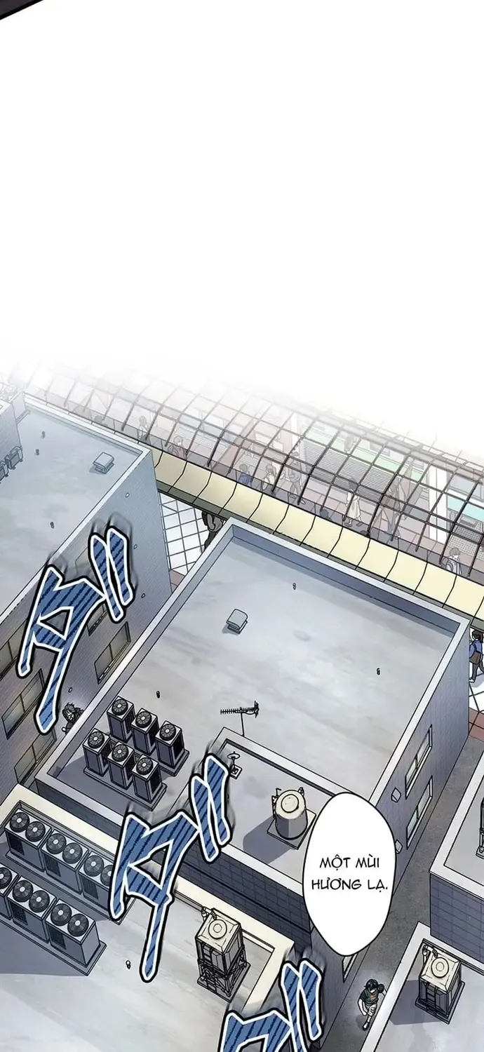 Musou No Jukunen Hitman Wa, Musume Tachi To Shizuka Ni Kurashitai Chap 11 - Next Chap 12