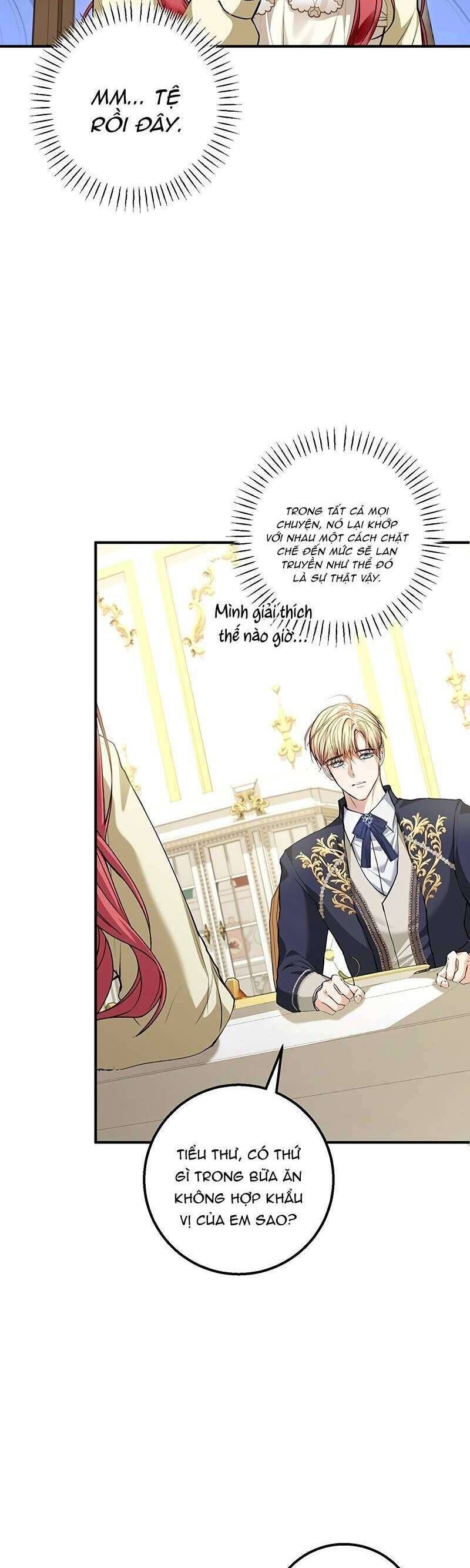 Nam Phụ À, Anh Nói Đó Chỉ Là Hôn Nhân Hợp Đồng Thôi Mà? Chap 12 - Next Chap 13