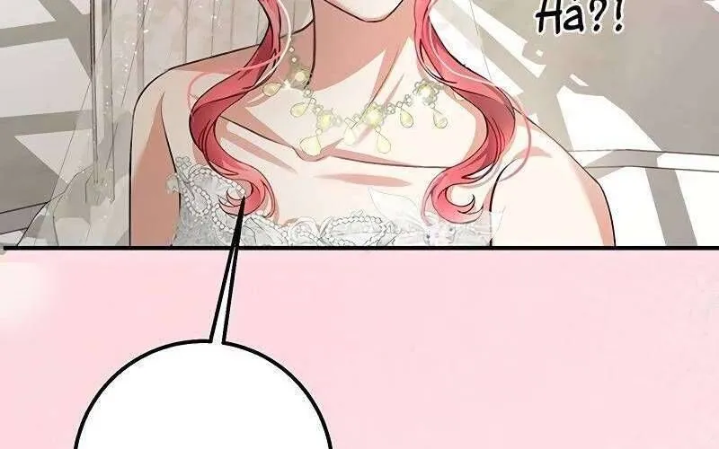 Nam Phụ À, Anh Nói Đó Chỉ Là Hôn Nhân Hợp Đồng Thôi Mà? Chap 2 - Next Chap 3