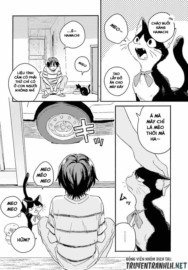 Nàng Hầu Cá Mập Bên Bờ Biển Chap 3.1 - Next Chap 4.1