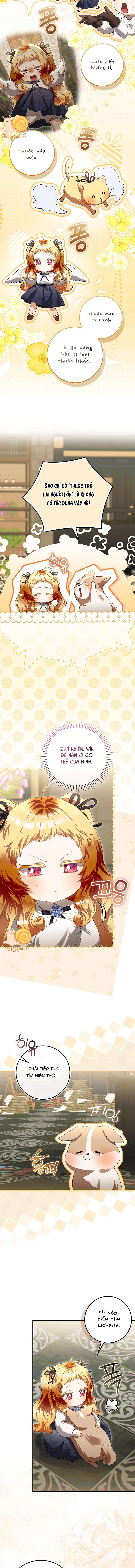 Nàng Tiên Bé Con Là Nhân Vật Phản Diện Chap 48 - Next Chap 49