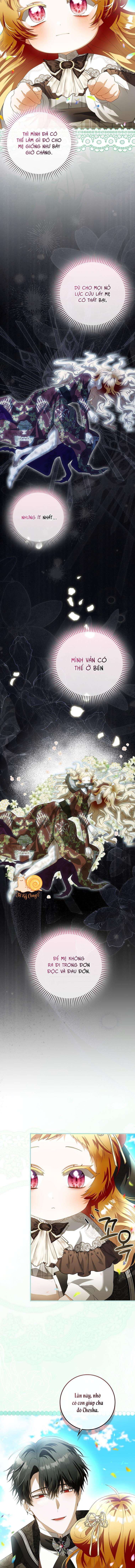 Nàng Tiên Bé Con Là Nhân Vật Phản Diện Chap 50 - Next Chap 51