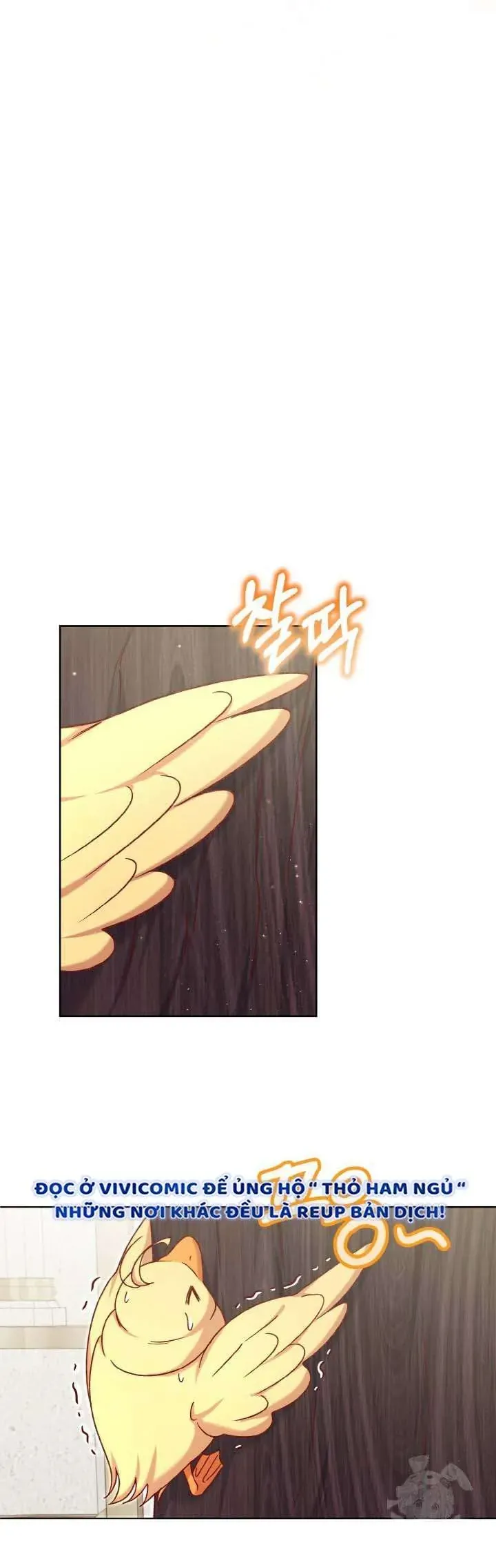 Nàng Vịt Chờ Ngày Hủy Hôn Chap 22 - Next Chap 23