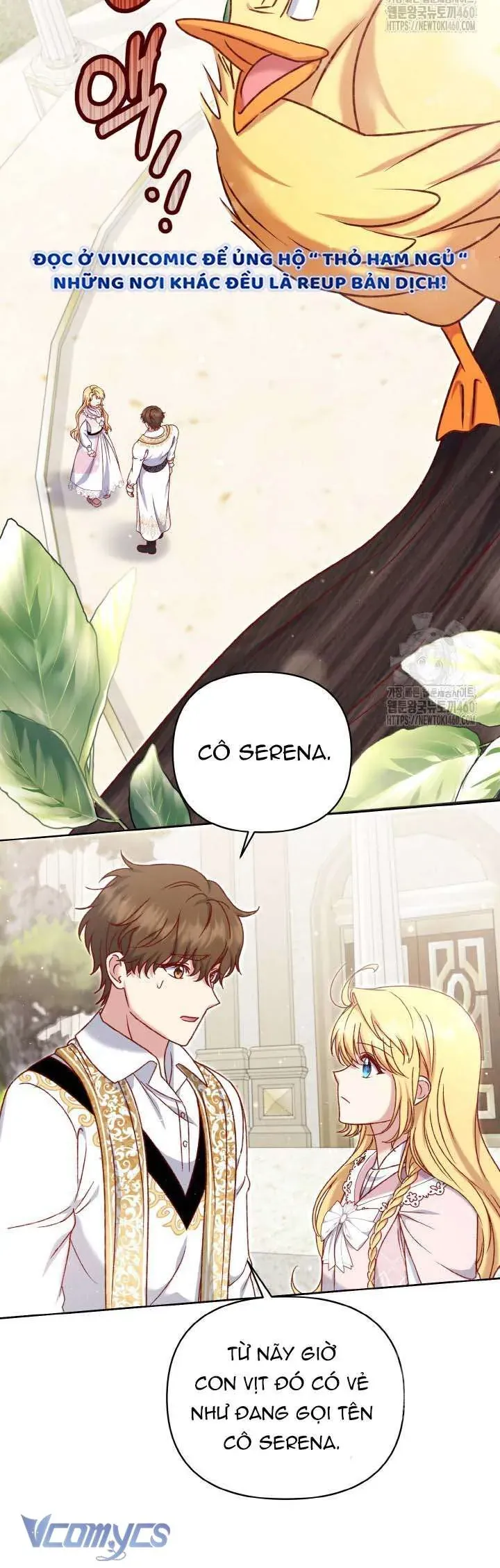 Nàng Vịt Chờ Ngày Hủy Hôn Chap 22 - Next Chap 23