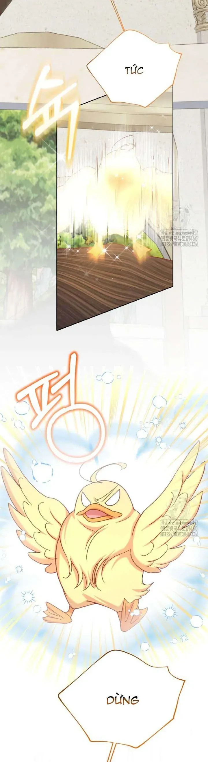 Nàng Vịt Chờ Ngày Hủy Hôn Chap 23 - Next Chap 24