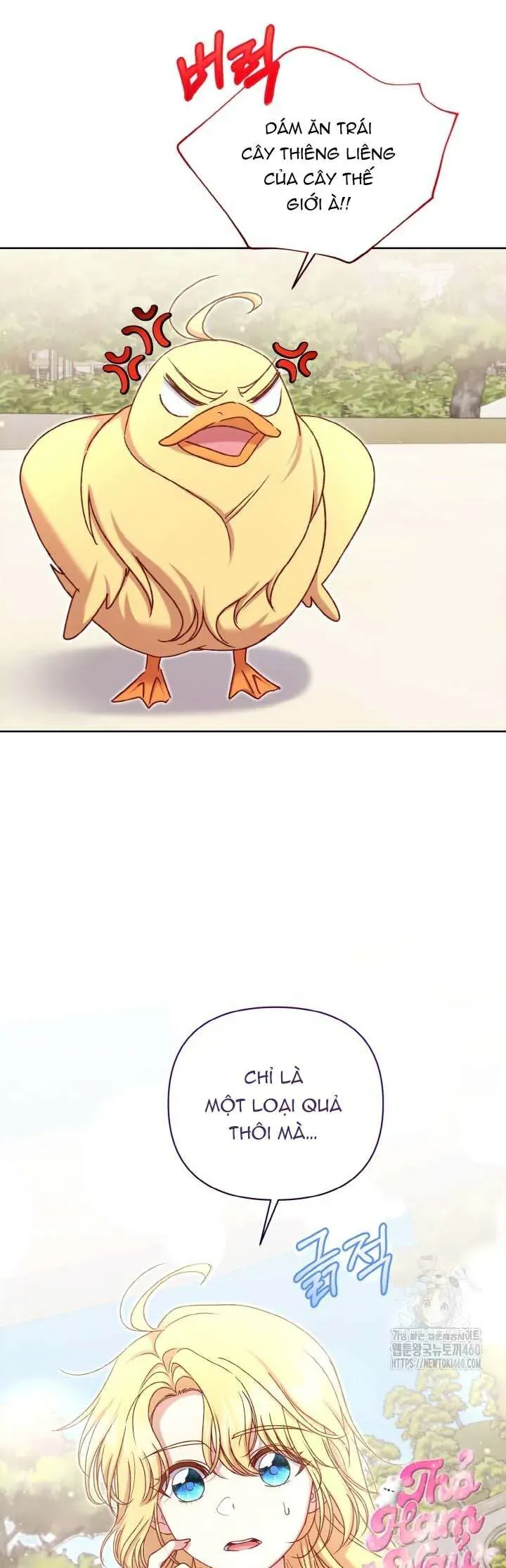 Nàng Vịt Chờ Ngày Hủy Hôn Chap 23 - Next Chap 24