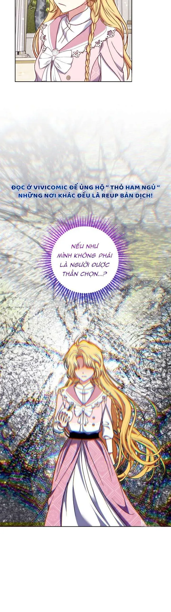 Nàng Vịt Chờ Ngày Hủy Hôn Chap 24 - Next Chap 25