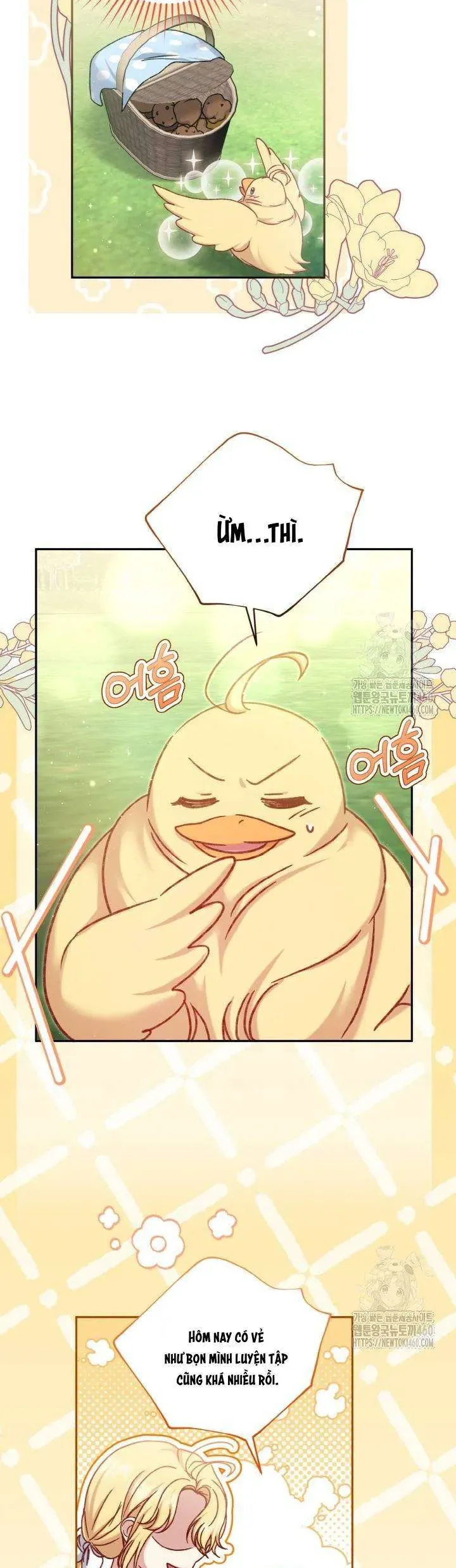Nàng Vịt Chờ Ngày Hủy Hôn Chap 28 - Next Chap 29
