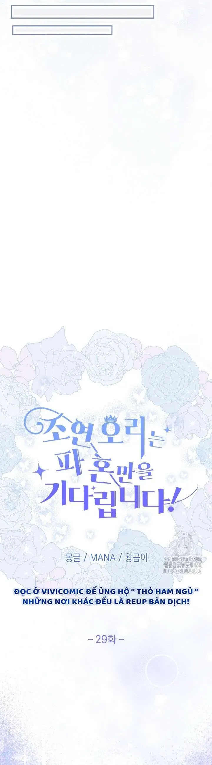 Nàng Vịt Chờ Ngày Hủy Hôn Chap 29 - Next Chap 30