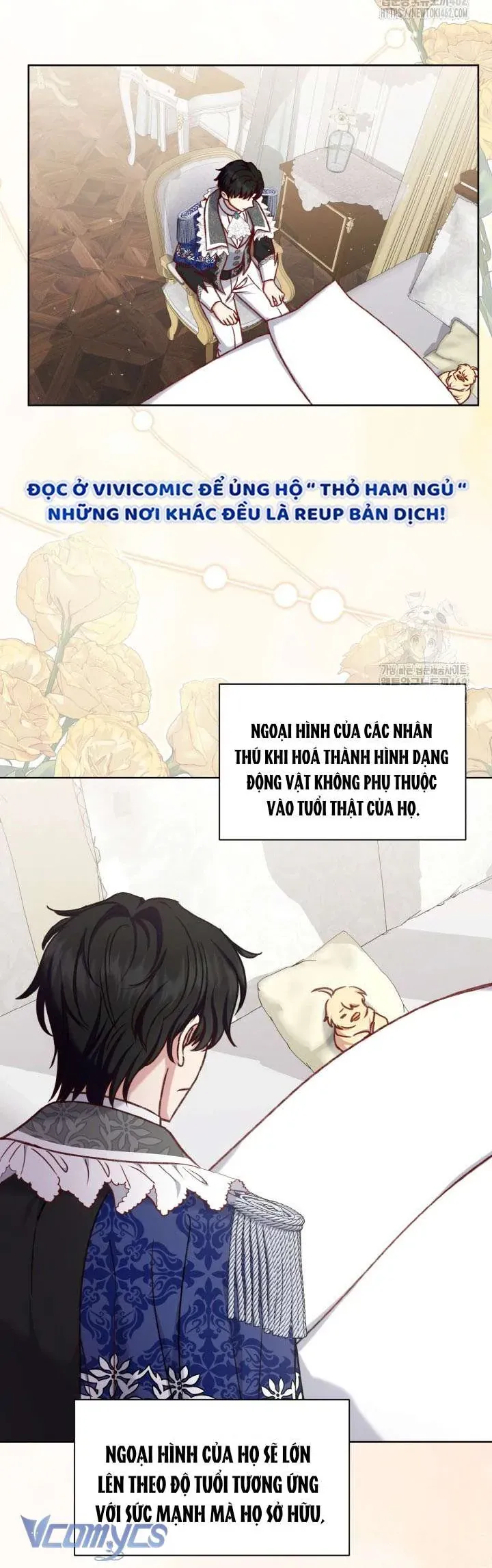 Nàng Vịt Chờ Ngày Hủy Hôn Chap 34 - Next Chap 35