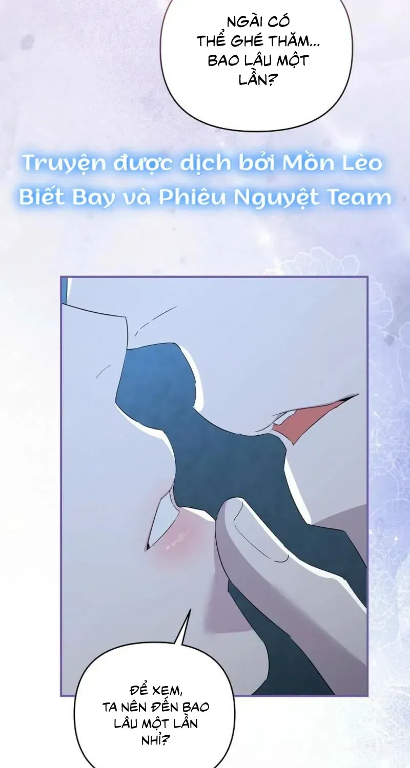 Này Người Chồng Phản Diện, Ngài Ám Ảnh Sai Người Rồi Chap 75 - Next Chap 76