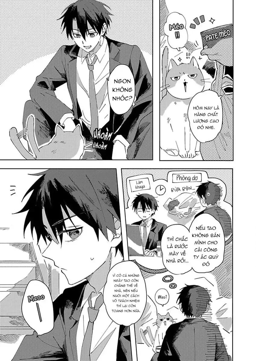 Neko No Tsuide Ni Otoko Wo Hiroimashita Chap 1 - Next Chap 2