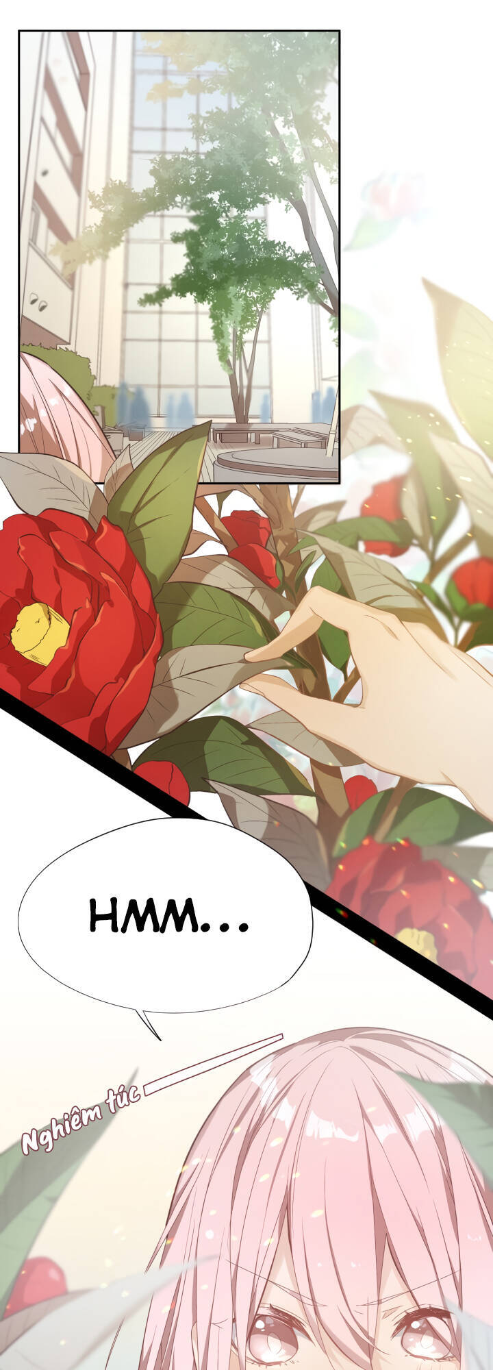 Newton's Flower Buds Webtoon Chap 6 - Next Chap 7