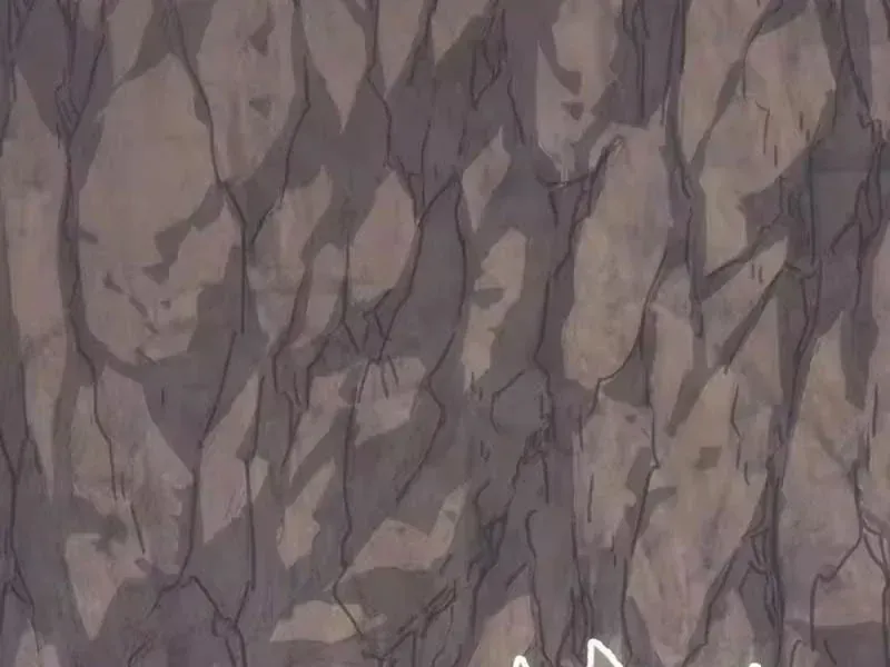 44