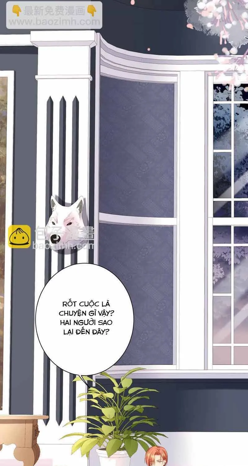 Ngàn Năm Bảo Hộ Đại Nhân Chap 46 - Next Chap 47