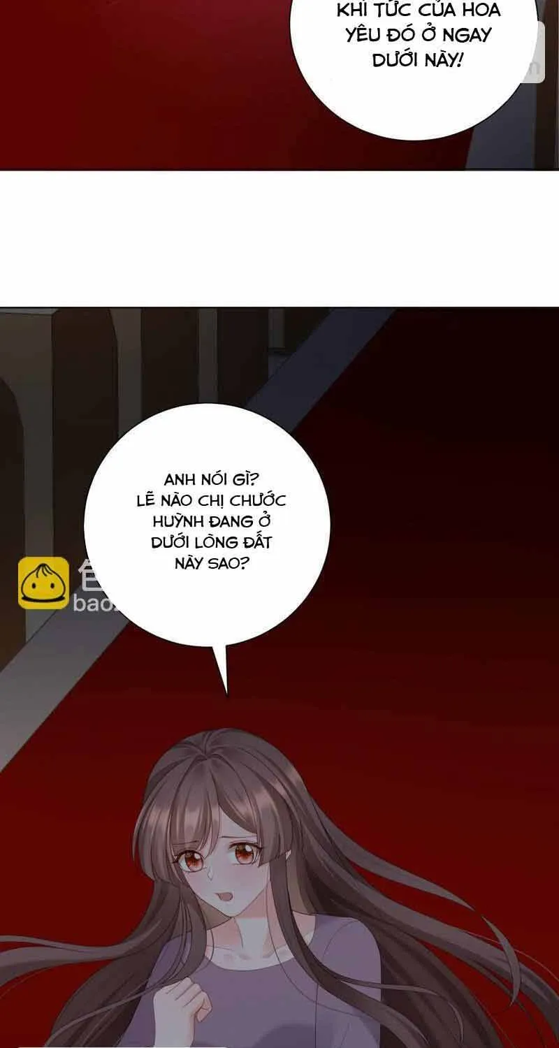 Ngàn Năm Bảo Hộ Đại Nhân Chap 47 - Next Chap 48