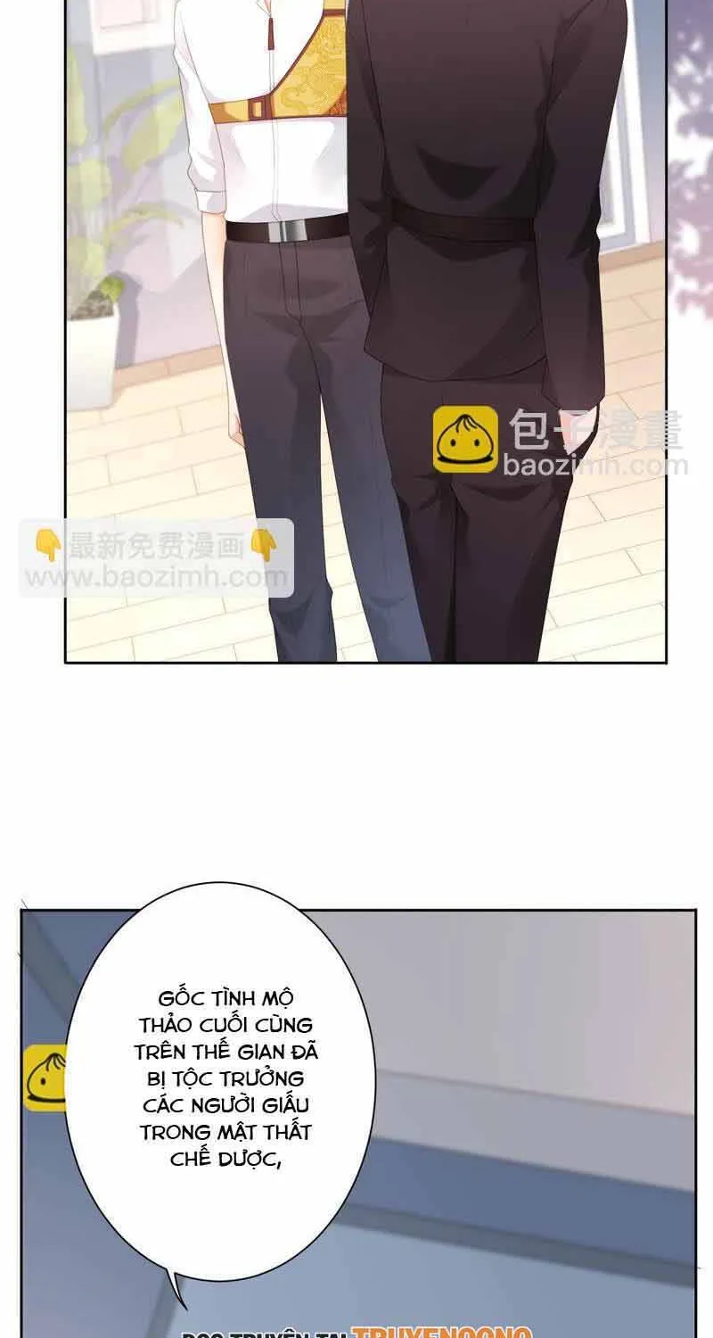 Ngàn Năm Bảo Hộ Đại Nhân Chap 48 - Next Chap 49