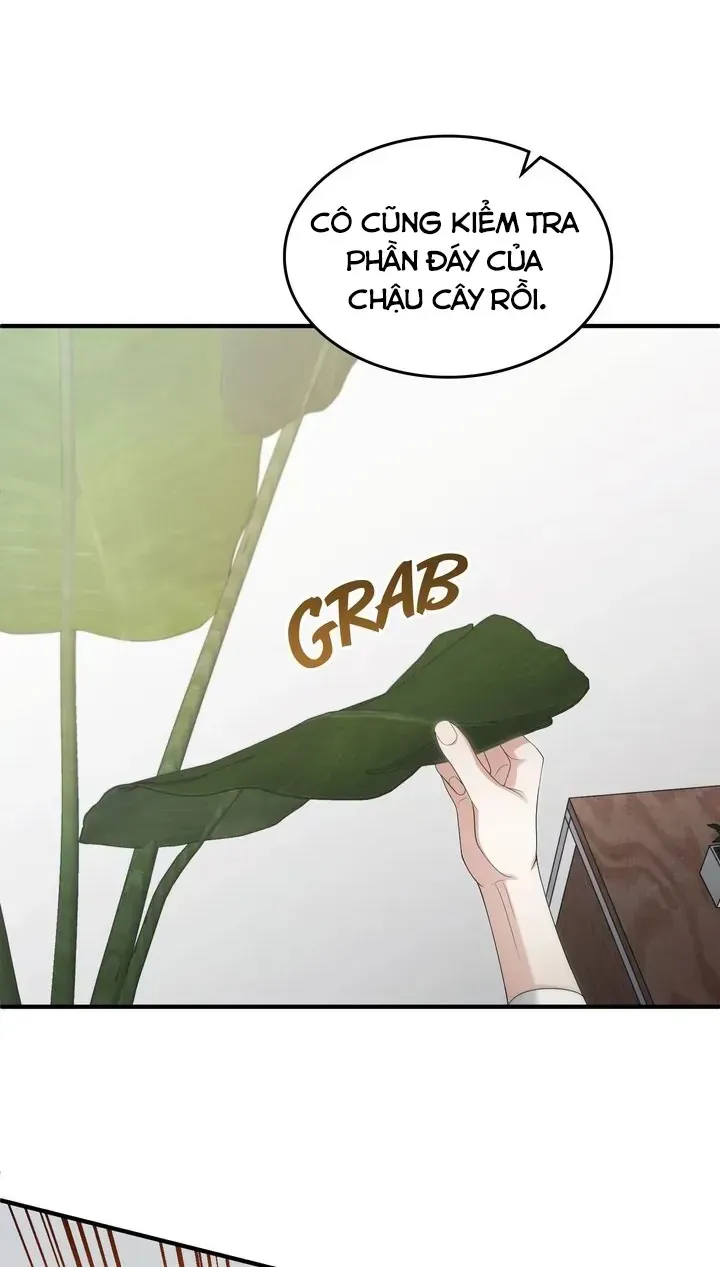 Nghỉ Hưu Sau Khi Cứu Thế Giới Chap 47 - Next Chap 48
