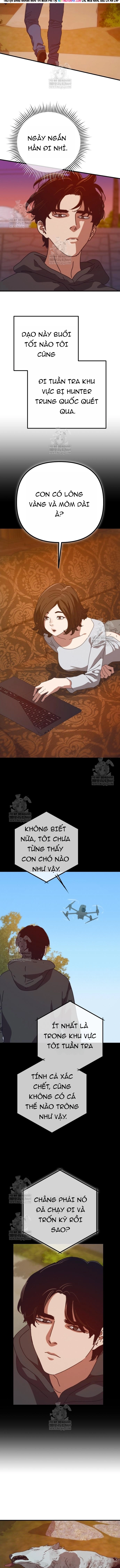 Ngôi Nhà Ẩn Ngày Tận Thế Chap 81 - Next Chap 82