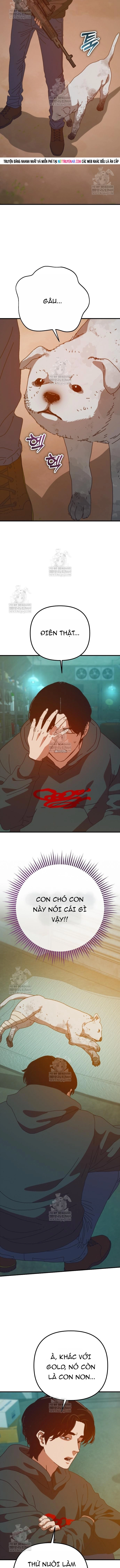 Ngôi Nhà Ẩn Ngày Tận Thế Chap 81 - Next Chap 82