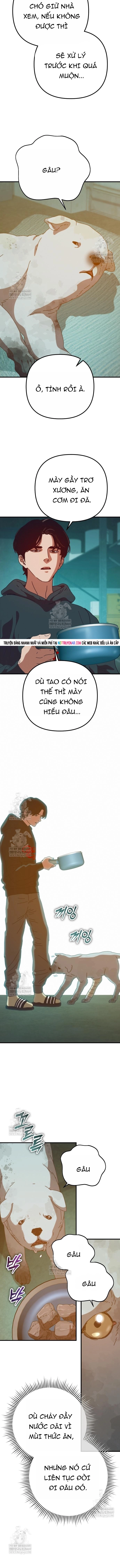 Ngôi Nhà Ẩn Ngày Tận Thế Chap 81 - Next Chap 82