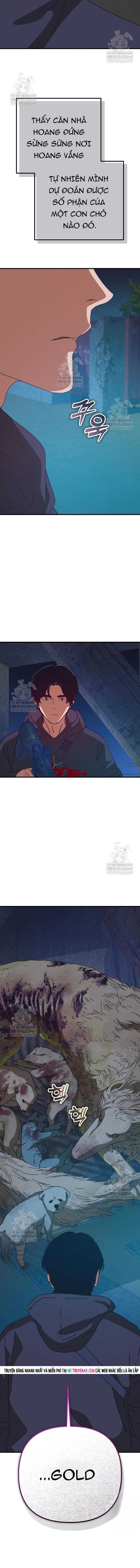 Ngôi Nhà Ẩn Ngày Tận Thế Chap 81 - Next Chap 82