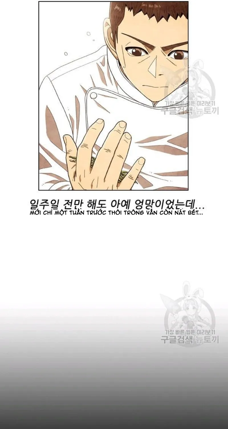 Ngôi Sao Ẩm Thực Michelin Star Chap 206 - Next Chap 207