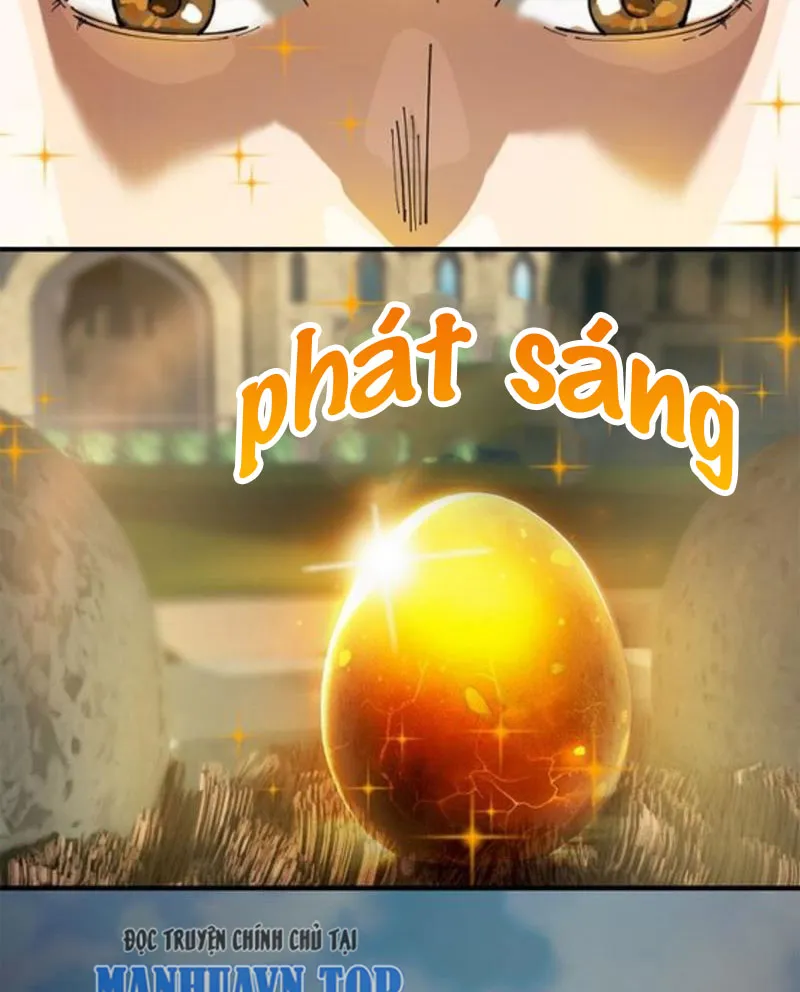 Ngự thú của ta không quá đứng đắn Chap 1 - Next Chap 2
