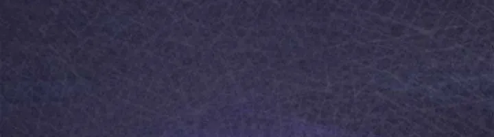 Người Chơi Cấp Tối Đa Chap 149 - Next Chap 150