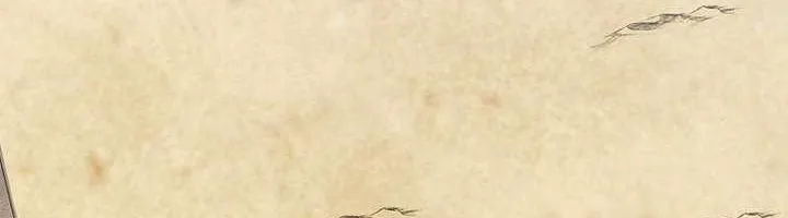 Người Chơi Cấp Tối Đa Chap 151 - Next Chap 152