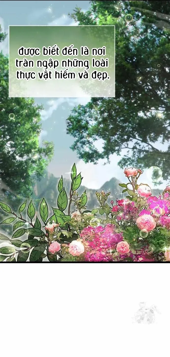 Người Chơi Che Giấu Quá Khứ Chap 118 - Next Chap 119