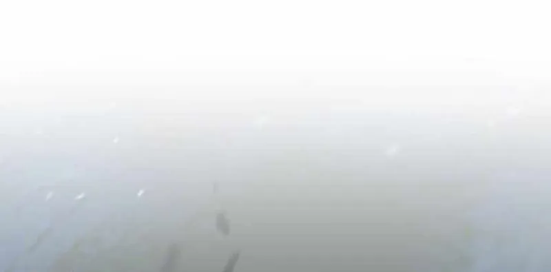 Người Chơi Không Thể Thăng Cấp Chap 222 - Next Chap 223