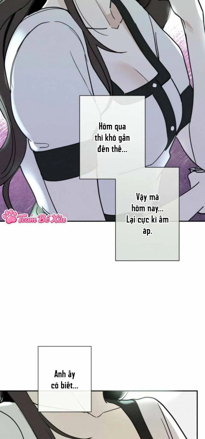 Người Đàn Ông Của Kẻ Khác Chap 1 - Next Chap 2