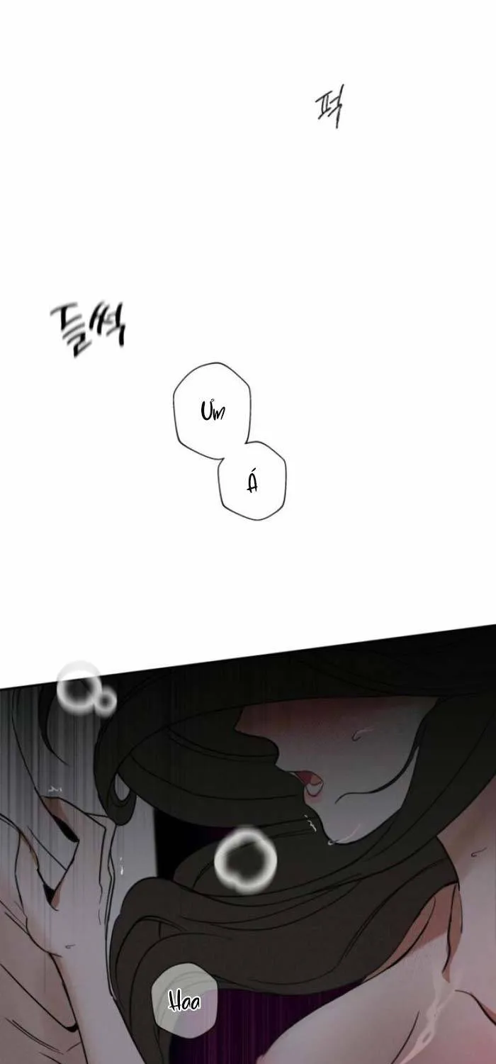 Người Đàn Ông Của Kẻ Khác Chap 3 - Next Chap 4