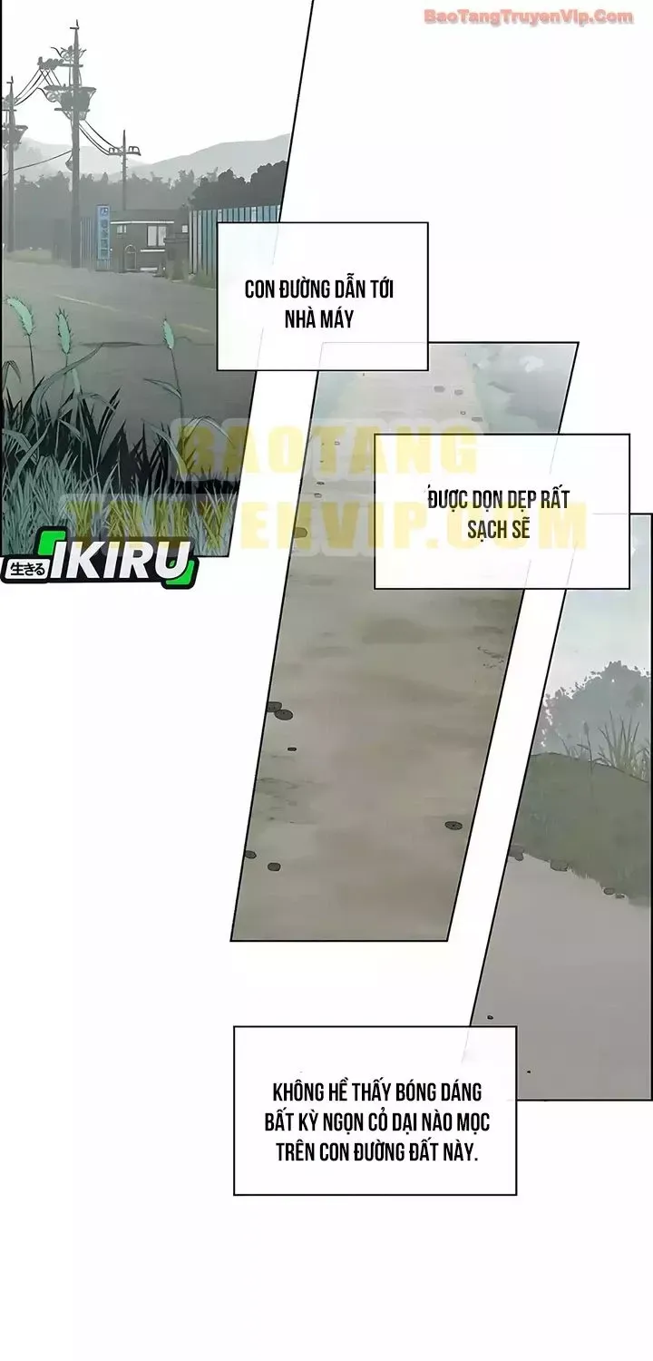 Người Đàn Ông Thực Thụ Chap 247 - Next Chap 248