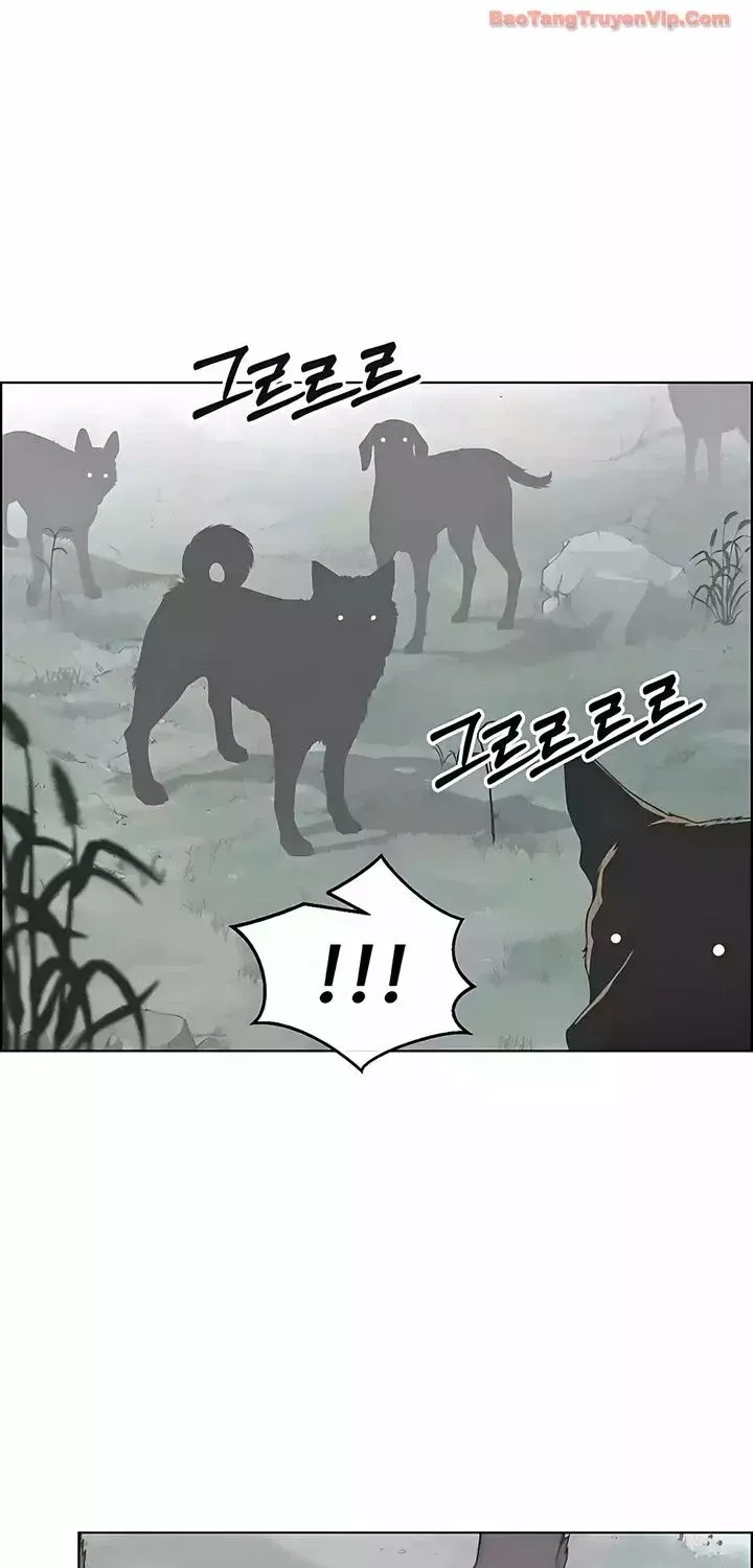 Người Đàn Ông Thực Thụ Chap 247 - Next Chap 248